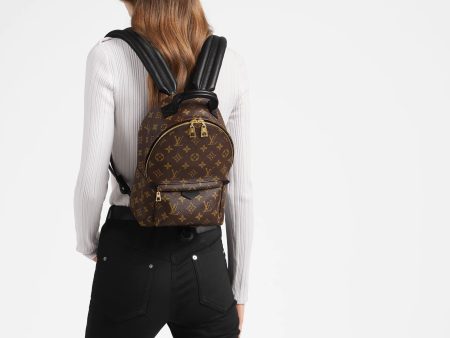 Louis Vuitton PALM SPRINGS PM Online now